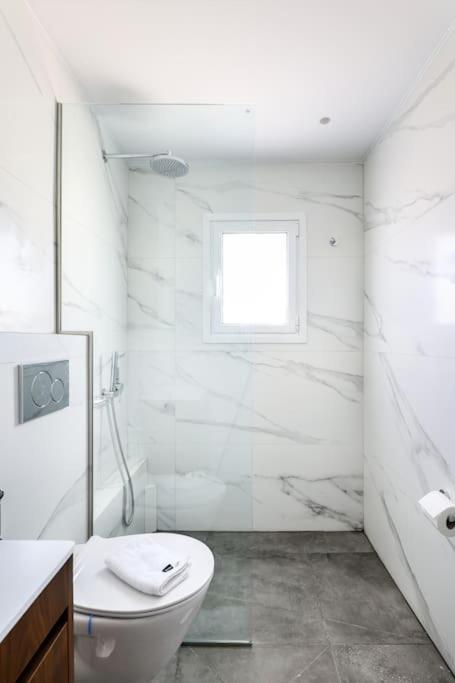 Blue Delta Apartment Palaio Faliro أثينا المظهر الخارجي الصورة